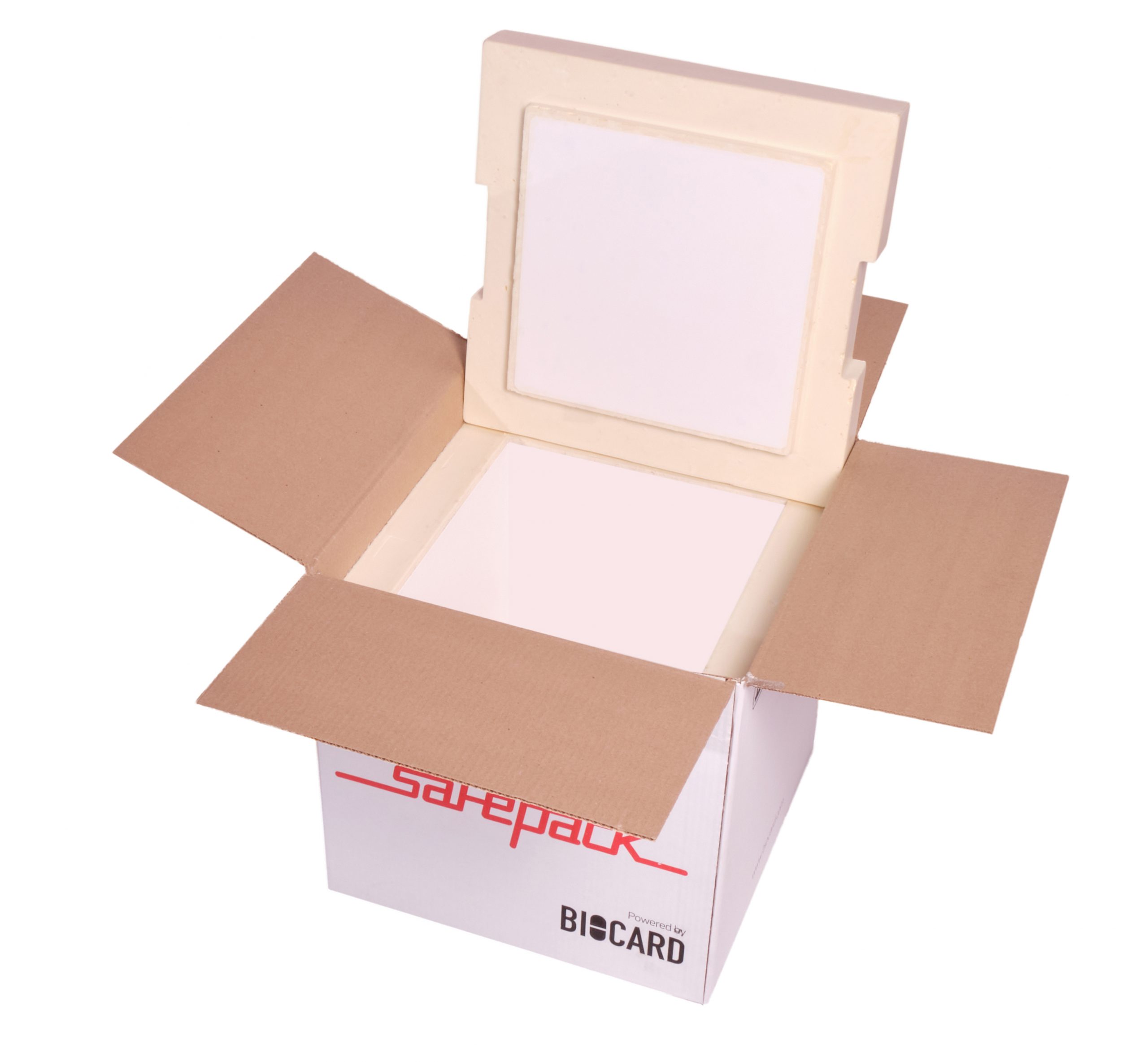 ТЕРМОКОНТЕЙНЕР SAFEPACK SP-5 PPU В ГОФРОКОРОБЕ